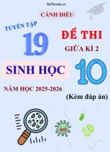 Tuyển tập 19 Đề thi giữa kì 2 năm học 2025-2026 môn Sinh học 10 Cánh Diều (Kèm đáp án)